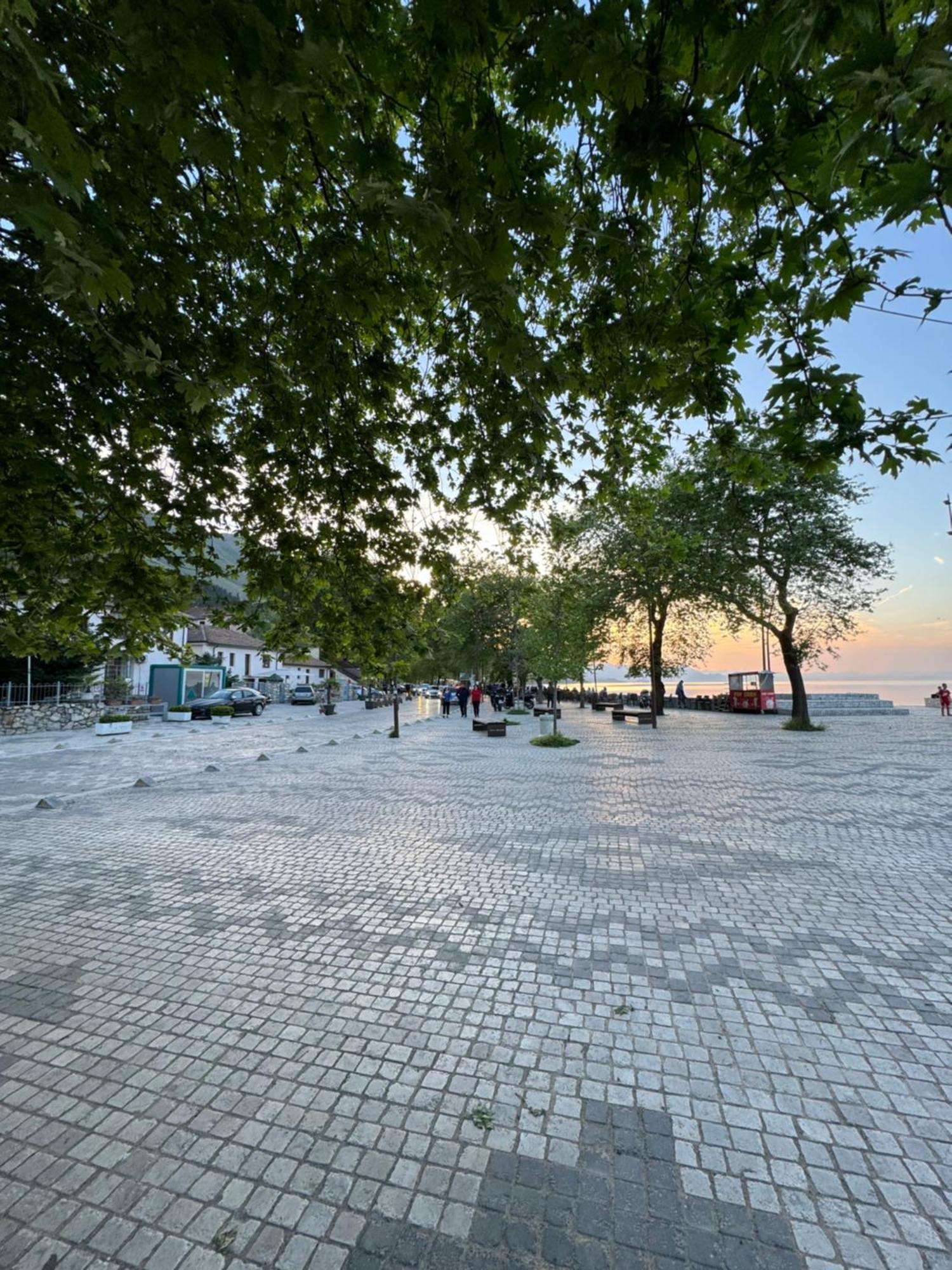 Lake Bliss Cabins Shkodër Buitenkant foto